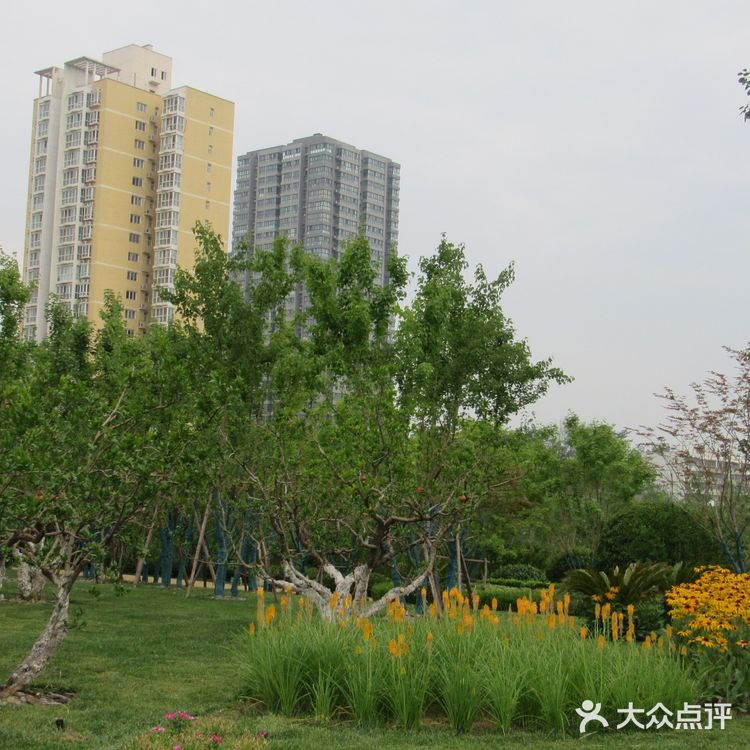 7月1日到西安幸福林带地上景观游览