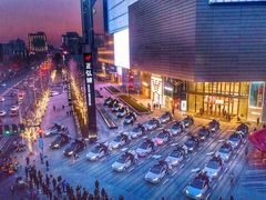 -TESLA 特斯拉(郑州正弘城体验店)