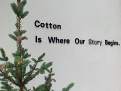 -COTTON CAFE(德信·中外公寓店)