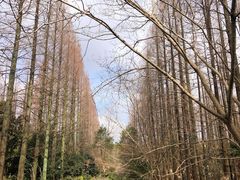 -上海怡沁园度假酒店
