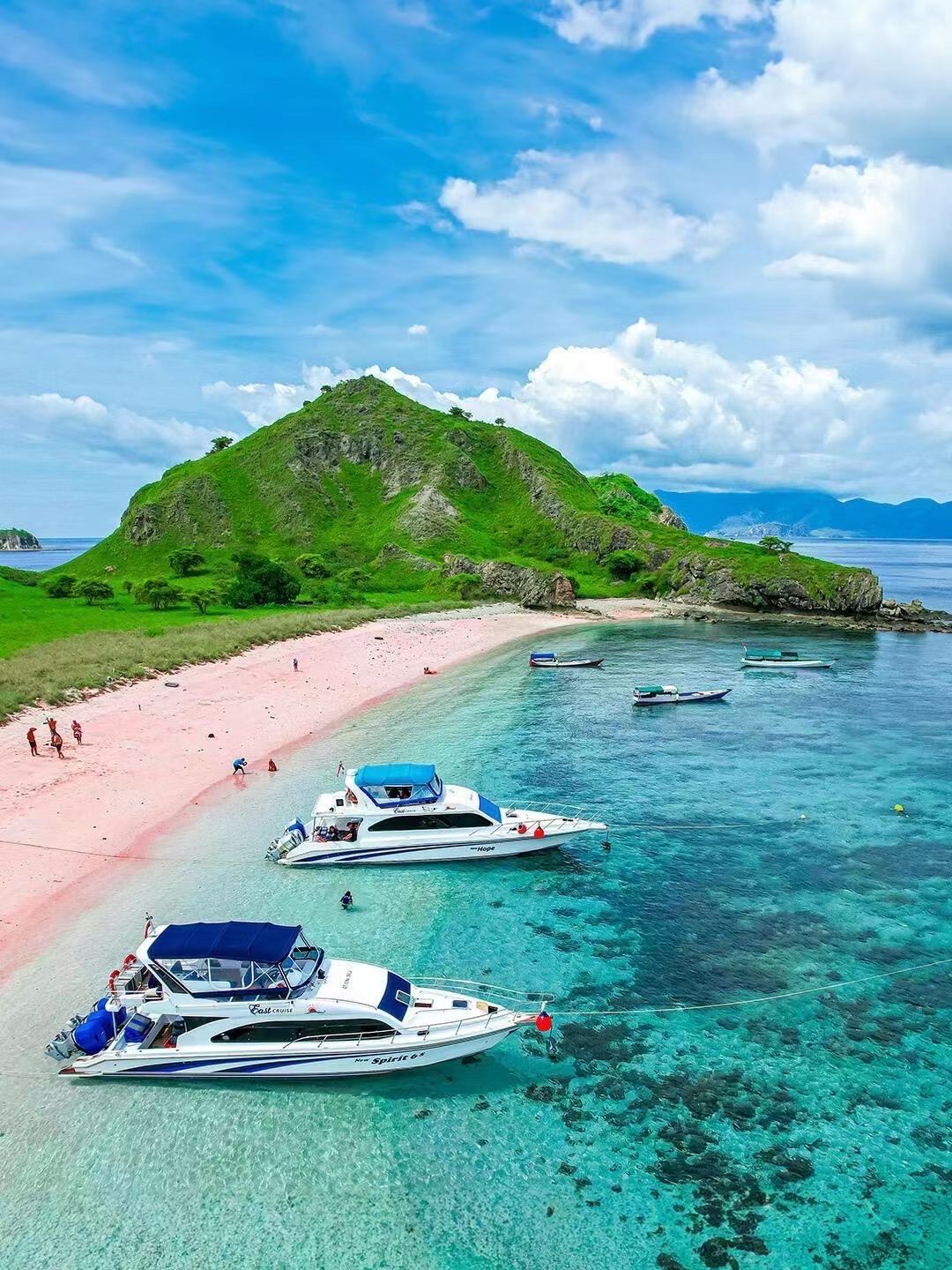 邮轮旅游：一场说走就走的世界之旅