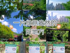 -青青世界