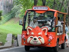 -合肥野生动物园