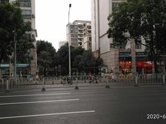-保利花园