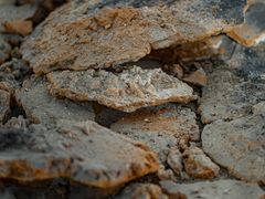 -湖北美术学院(昙华林校区)