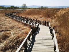 -野鸭湖国家湿地公园