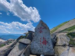 -朱雀国家森林公园