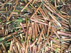 -郴州特产舜华临武鸭(郴州西站店)