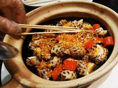 蒜香花螺-飞尝蚝·顺德菜·鱼生(顺德总店)