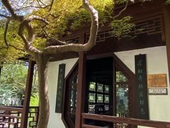 -上海醉白池公园