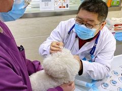 -暖阳宠物医院·犬猫康复中心·骨科