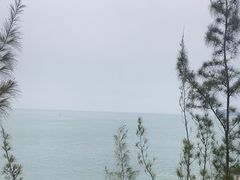 -广东惠东海龟国家级自然保护区