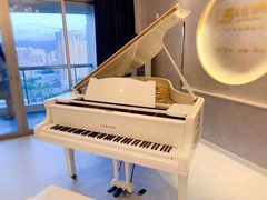 -乐尚音乐空间·钢琴·声乐·架子鼓(会展中心店)