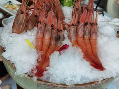 -芥末日本料理(打浦路铂尔曼旗舰店)