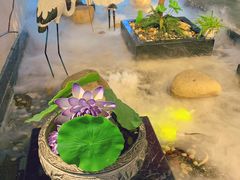 -小菜园新徽菜(宜兴八佰伴店)
