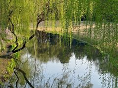 -柳浪闻莺公园