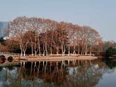 -红梅公园