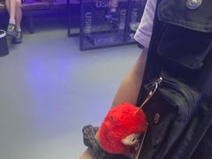 -关你鬼室大型密室逃脱(佛山创意园店)