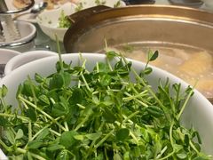 -烹然四季椰子鸡火锅(团结湖总店)