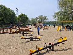 -大兴滨河森林公园