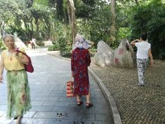 -柳侯公园