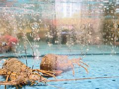 -阿伟海鲜楼·福建菜(延寿店)