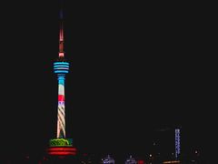 -武汉两江游览·夜游长江(汉口粤汉码头)