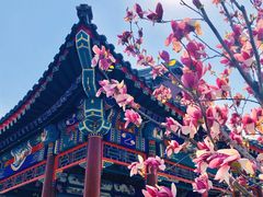 -西海子公园