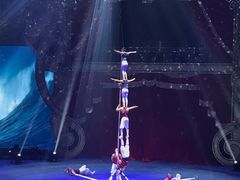 -珠海横琴长隆《卡卡虎奇遇记》