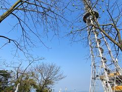 -风云岭森林公园