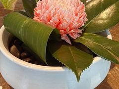 -上海总会SHANGHAICLUB(兴业太古汇店)