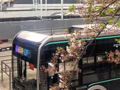-南浦大桥长途旅游客运站