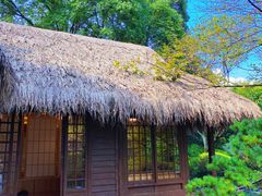 -中国茶叶博物馆(双峰馆区)