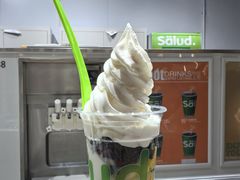 -Salud撒露欧洲冻酸奶(北苑上品店)