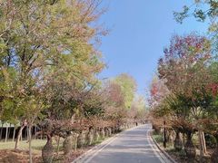 -武汉紫薇都市田园