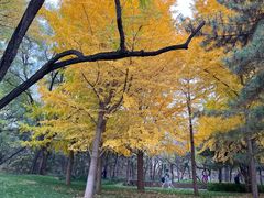 -元大都城垣遗址公园