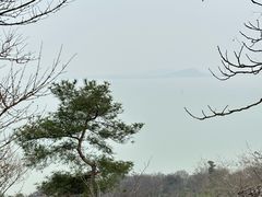 -巢湖姥山岛