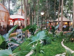 -二荆条·蜀鲜汇城市森林火锅