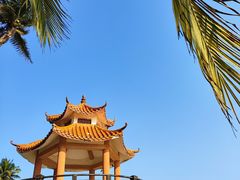 -东郊椰林