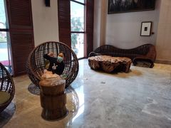 -三清山希尔顿度假酒店