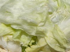 -铁真·刨冰红焖羊肉·正宗老字号