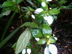 android_upload_pic-丹霞山风景名胜区