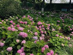 -常州古运河南大街文化旅游区-人民公园