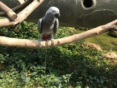 -无锡动物园·太湖欢乐园