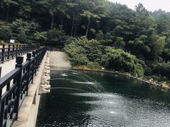 -九龙潭景区