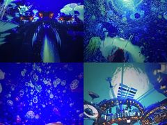 -南戴河国际娱乐中心