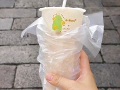 -猫的魔法密林(衣裳街店)