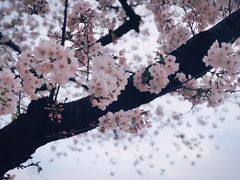 -上海南浦大桥长途旅游客运站