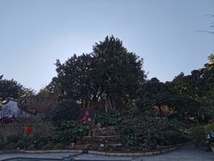 -乌山风景区