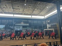 -东芭乐园